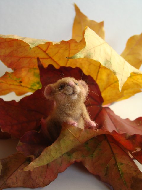 Шустрый гость. Авторская игрушка валянием из шерсти Ольги Чернухо (фото 4)