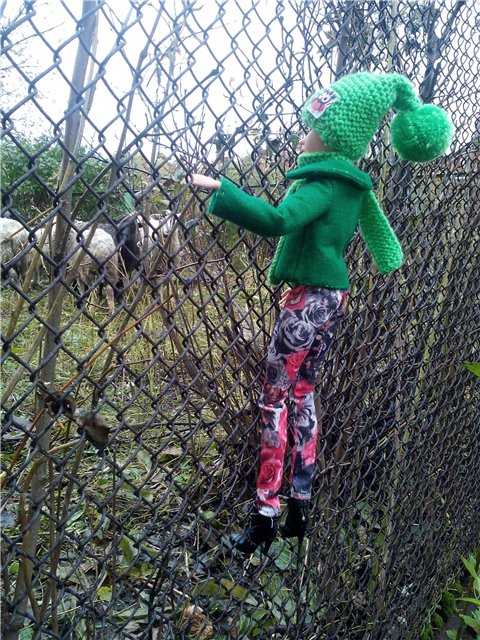 Моя Родина-Кузбасс или прогулки Тристен