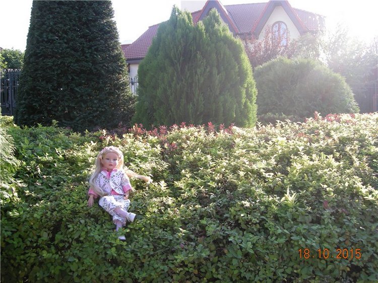 Первые прогулки Алисы — Фэшн