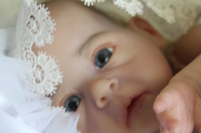 Виктория кукла-реборн Элины Кудрявцевой