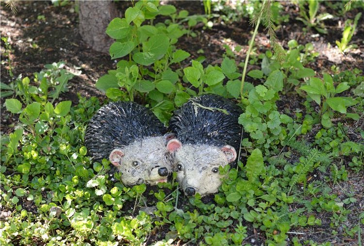 Много фото! Как мы с Наденькой гуляли. Часть 1