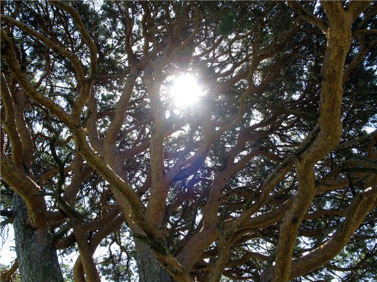 Субботний вояж. Часть первая