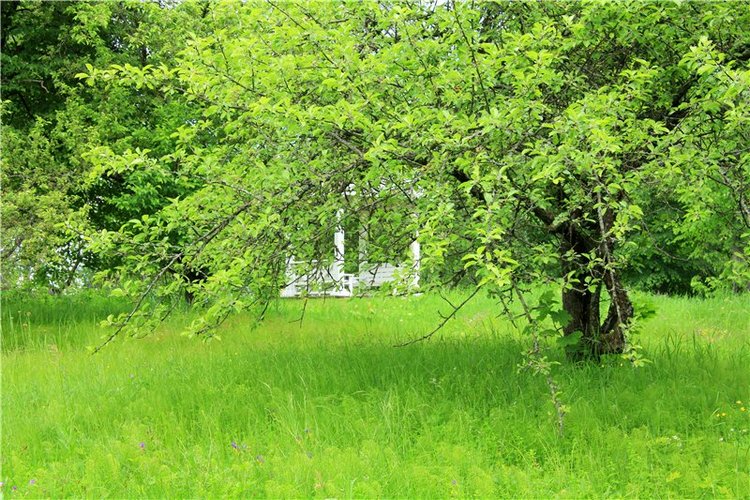 46-ой Пушкинский праздник поэзии в Берново. Часть первая