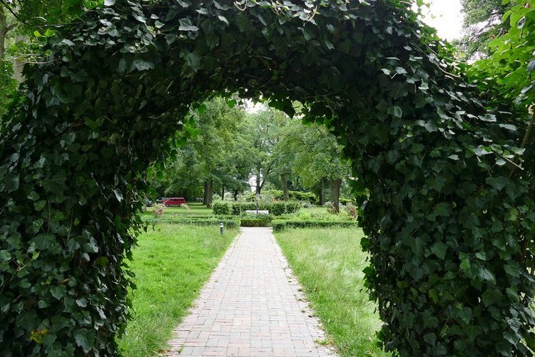 Hirschpark Hamburg. Олений парк. ВИДЕО