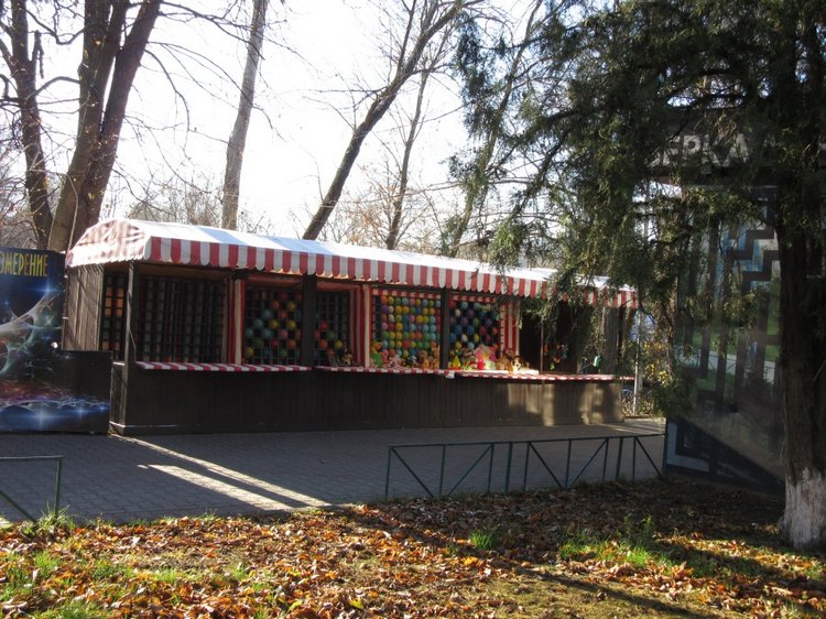 Утренняя прогулка в парке Горького с Соломоном и Анхен, или О сложностях гуляния с собакой и куклой одновременно