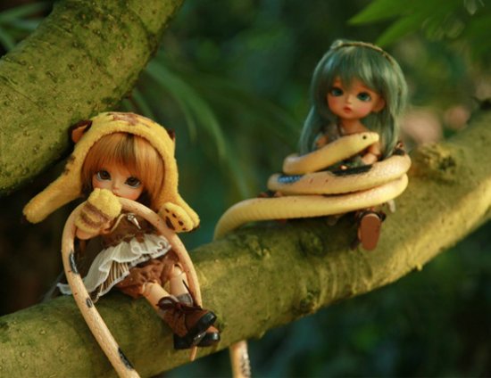 Новый релиз от Latidoll - Jungle in Lati | Бэйбики Новый релиз от Latidoll - Jungle in Lati