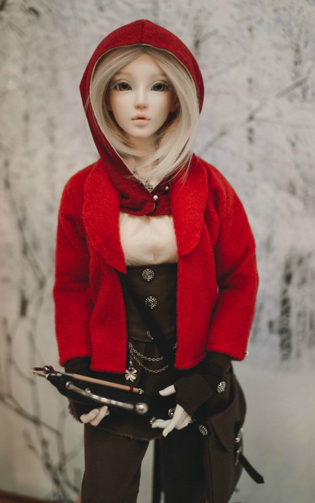 Мифотворцы 2017 — Фотоистории с куклами BJD (БЖД): сериалы (фото 3)