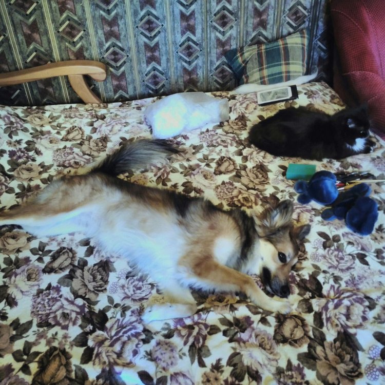 Отчёт за январь, февраль, март и апрель (фото 6)