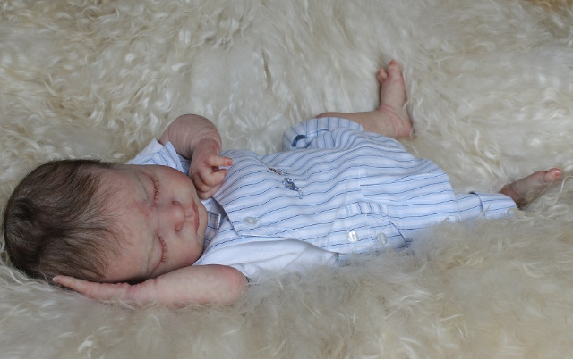 Сиренити от Екатерины Бойковой. Serenity Laura Lee Eagles