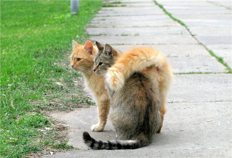 Майский день в Митино — Туризм и путешествия: фотоотчеты из поездок