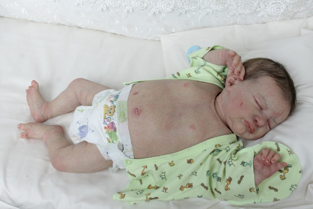 Сиренити от Екатерины Бойковой. Serenity Laura Lee Eagles