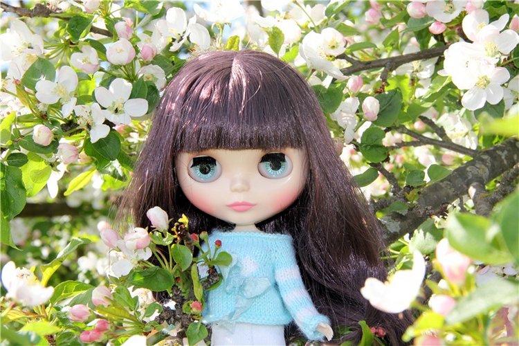 Блайзочки на природе — Оригинальные куклы Blythe (Блайз): Takara (фото 10)