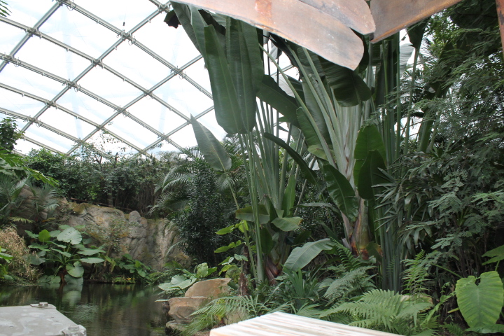 По Германии: зоопарк Лейпцига, часть 2