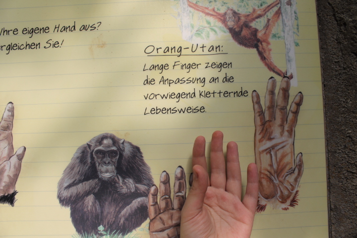 По Германии: зоопарк Лейпцига, часть 1