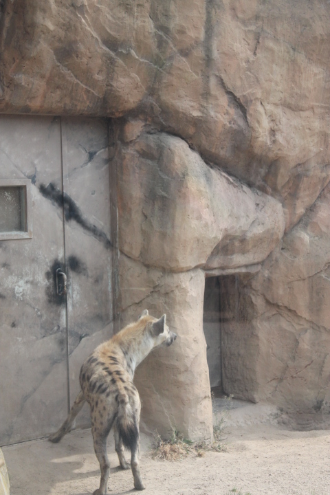 По Германии: зоопарк Лейпцига, часть 3