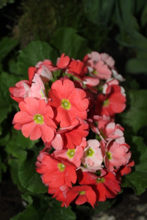 По Германии: весна в Лейпциге