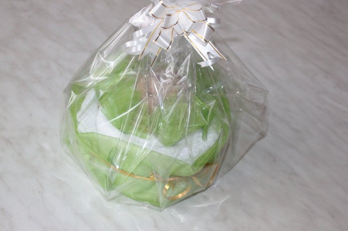 Еще несколько подарков — Другие хобби и увлечения: сад (фото 9)