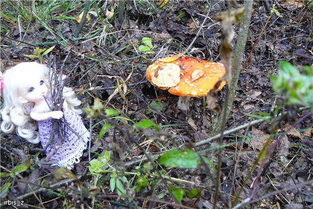 Осенняя сказка. Часть 1. (PukiFee Ante Ариэтти, PukiFee Bonnie Ариэль) | Бэйбики Осенняя сказка. Часть 1. (PukiFee Ante Ариэтти, PukiFee Bonnie Ариэль)