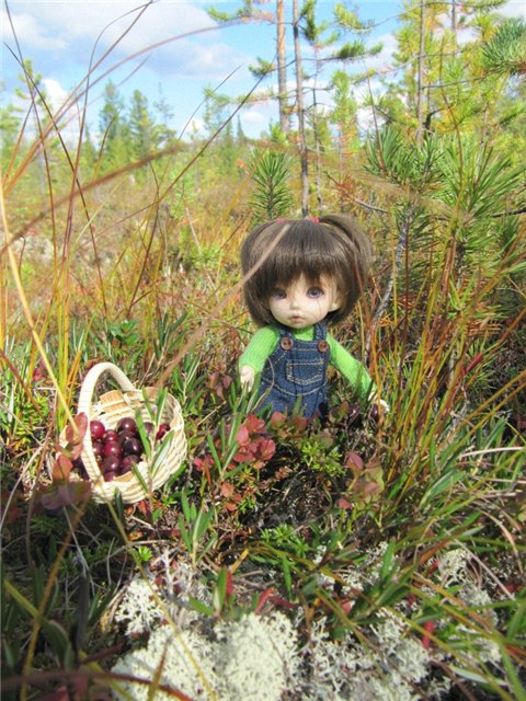 Как Майка за ягодами ходила. Кукла БЖД | Бэйбики Как Майка за ягодами ходила. Кукла БЖД (фото 5)