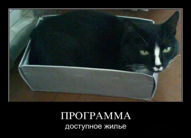 Для тех,кому сейчас грустно | Бэйбики Для тех,кому сейчас грустно (фото 7)