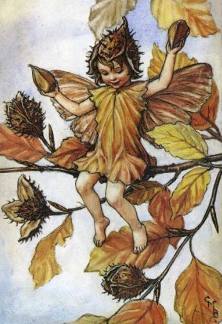 Долгая жизнь цветочных фей от иллюстраций Cicely Mary Barker до кукол Birgitte Frigast