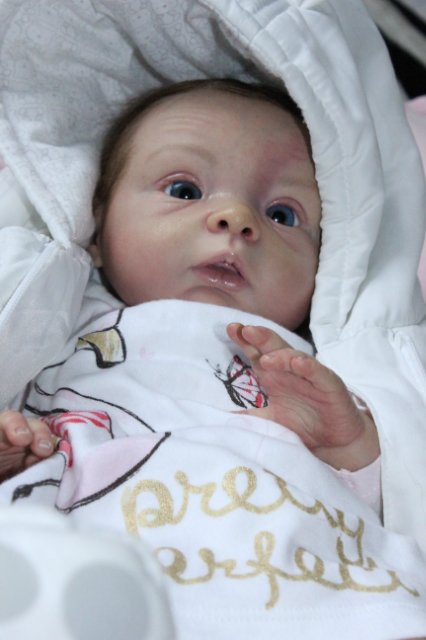 Малышка Софиика новая жизнь, кукла реборн Беспаловои Жанны