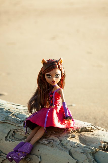 Сказочная волчица. Кукла Монстер Хай