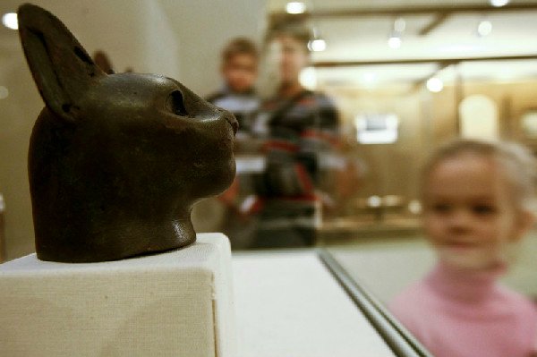 «Мяу» особого назначения или Весенняя кошкотерапия (фото 4)