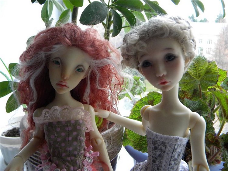 Теперь они вместе. Мои Лилликэтки Constantine и Ninon (фото 5)