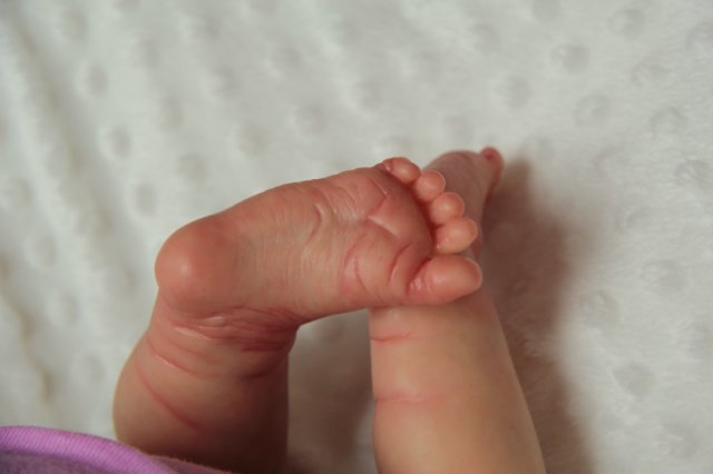 Моя маленькая королева Mihrimah. Кукла реборн Саутер Антонины