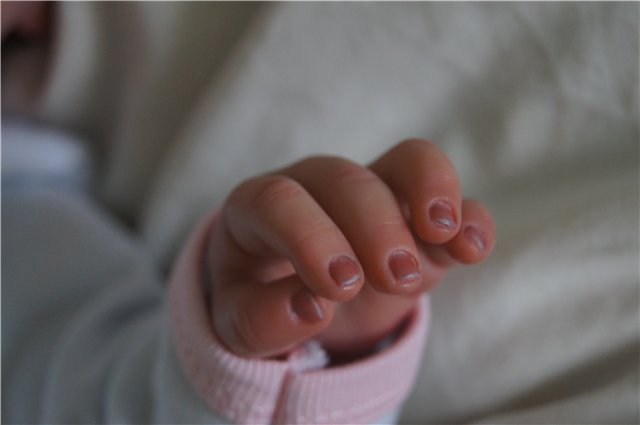 Мой первый реборн Ноа — Куклы Реборн (Reborn): работы мастеров (фото 10)