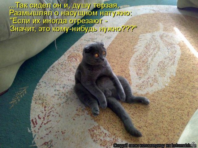 Просто добавь улыбку или пятничный девиз