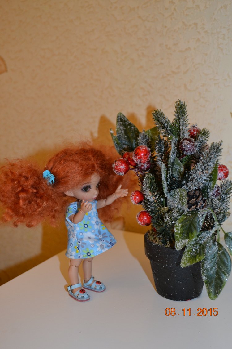 Такие чудные ПукиФи - наш новый член семьи