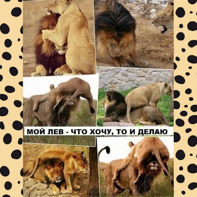 Подкаблучники всех стран, соединяйтесь!!! Высокие, высокие отношения или Муля, не нервируй меня. Предпраздничная болталка