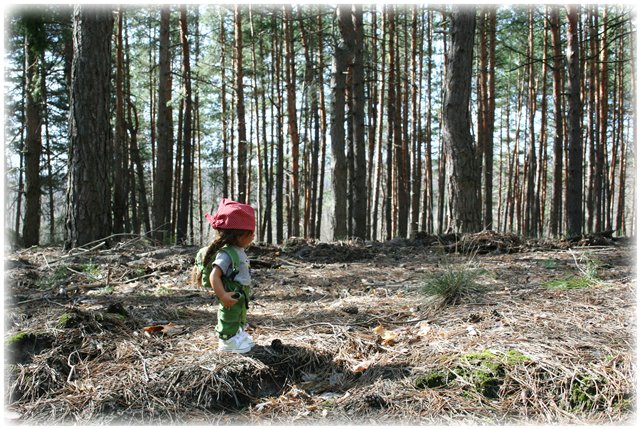 Небольшой поход Вихтелят на Ирдынские болота