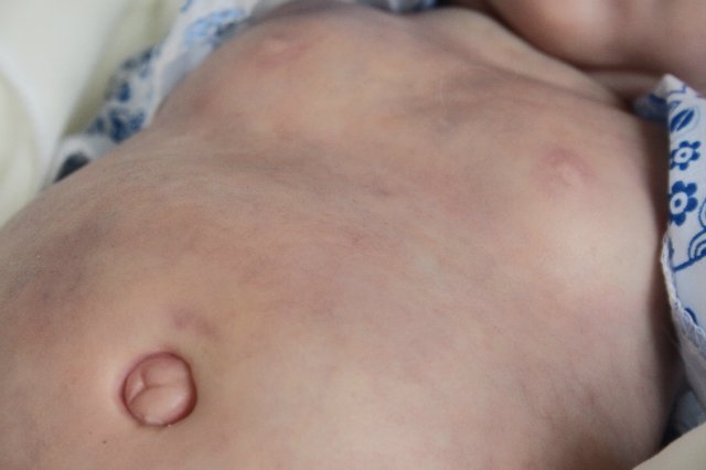 Филипка, кукла реборн Элины Кудрявцевой (фото 3)