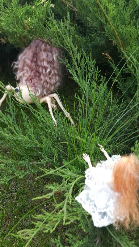 Катрина и волшебный лес-3