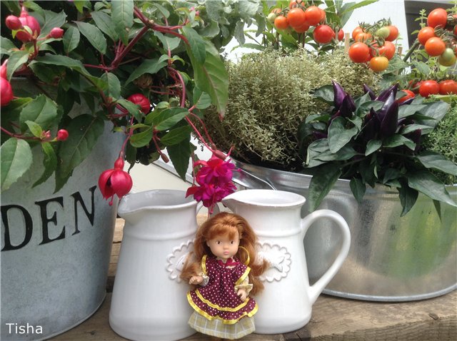 Малышки Sarah Key — Другие мини