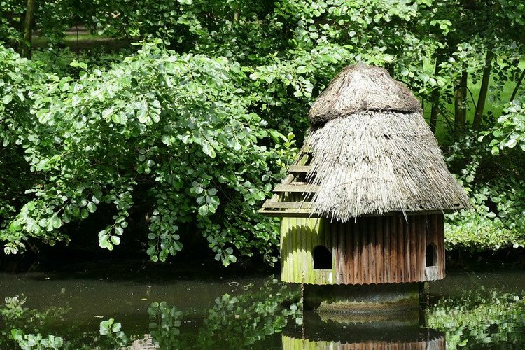 Hirschpark Hamburg. Олений парк. ВИДЕО