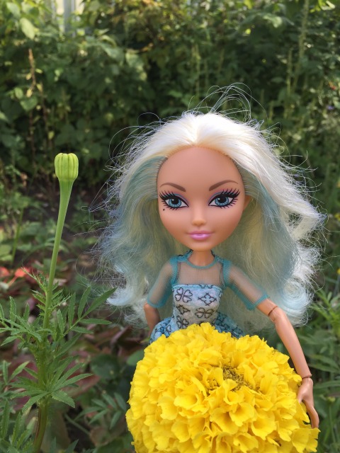 Летняя прогулка Дарлинг Чарминг Ever After High