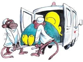 Гениальная догадка доктора Дженнера. Вакцинация - одно из самых важных изобретений человека (фото 6)