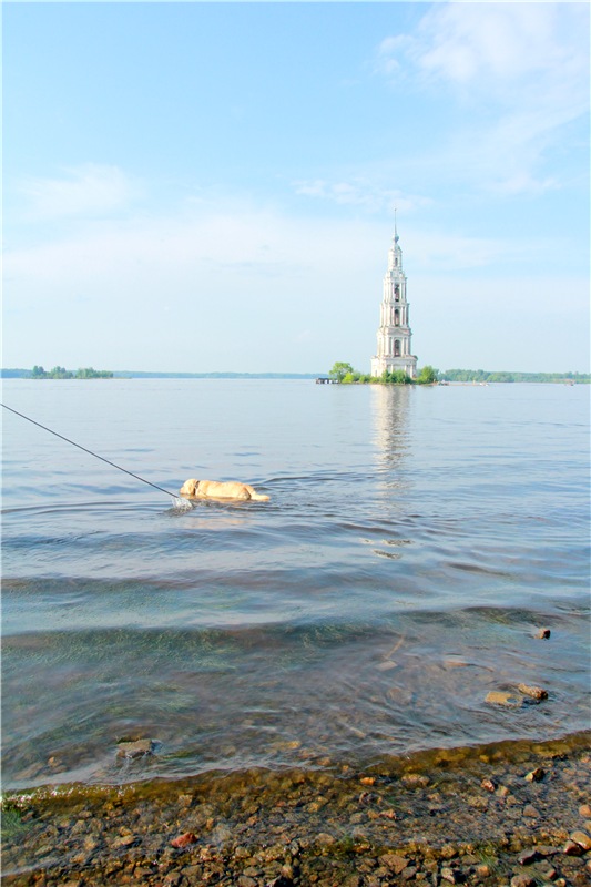 Русская Атлантида, заключительная часть. Калязин, Тверская область (фото 7)