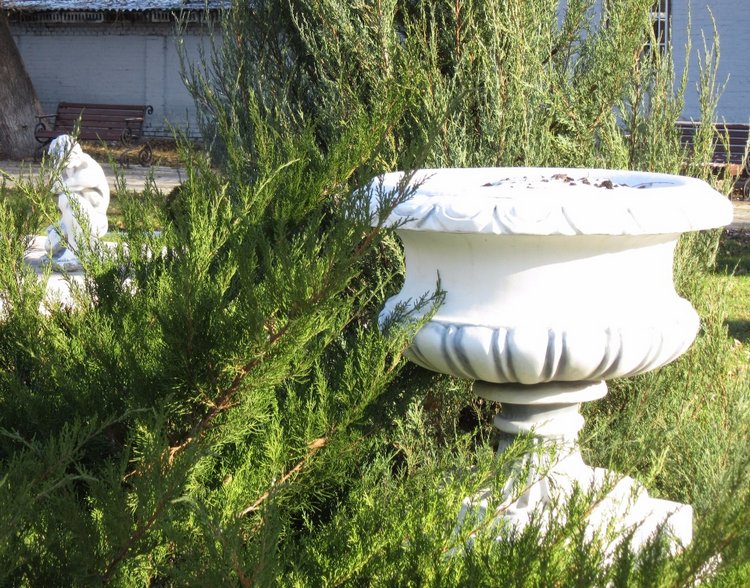 Утренняя прогулка в парке Горького с Соломоном и Анхен, или О сложностях гуляния с собакой и куклой одновременно