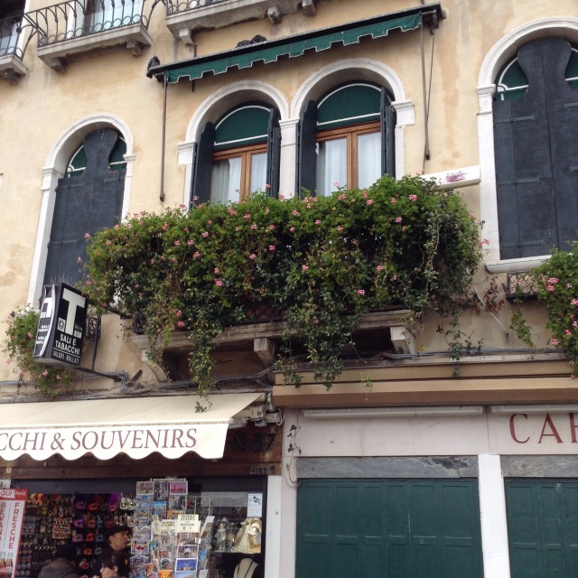 Приключения Минуш в Италии [Часть 2] Венеция -"Волшебный город на волнах, мечты высокой воплощенье"