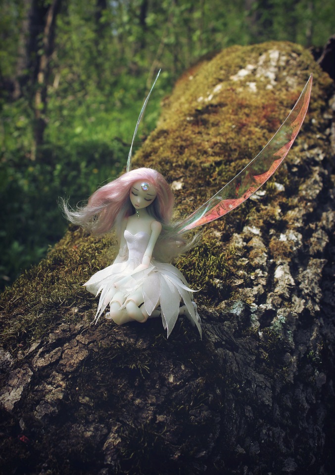 Снова 2 девочки, совершенно разные. Фея и японская школьница