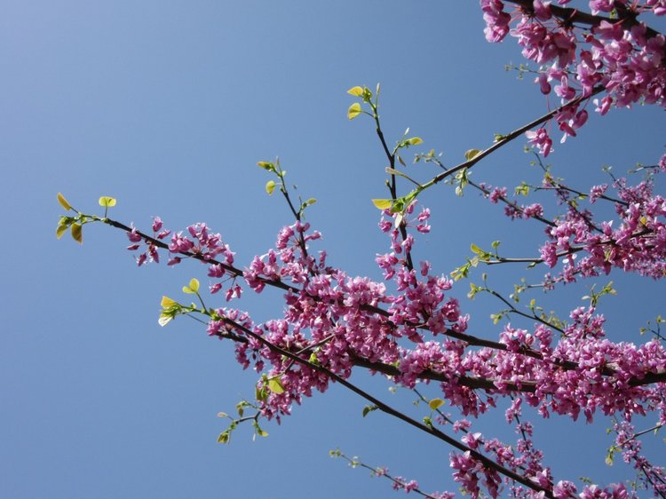 Первое мая. Сложно быть бунтарем, когда ты - милая девочка