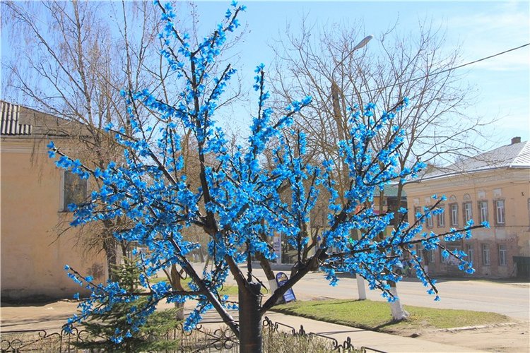 Путешествие в Бежецк — Культура