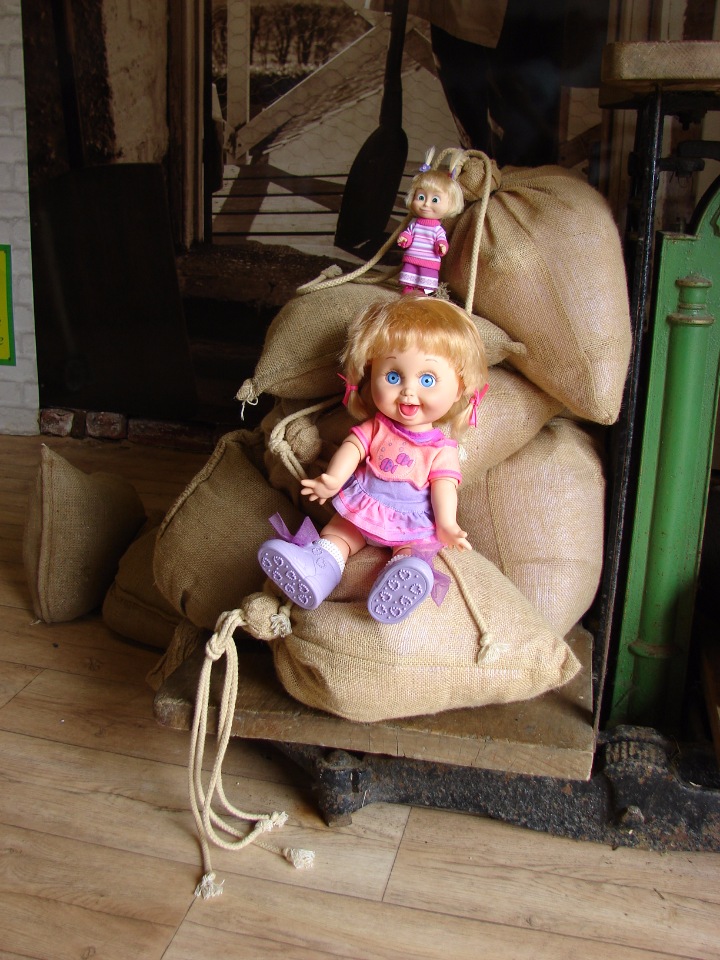 Как Пенни и Машка мельницу осматривали