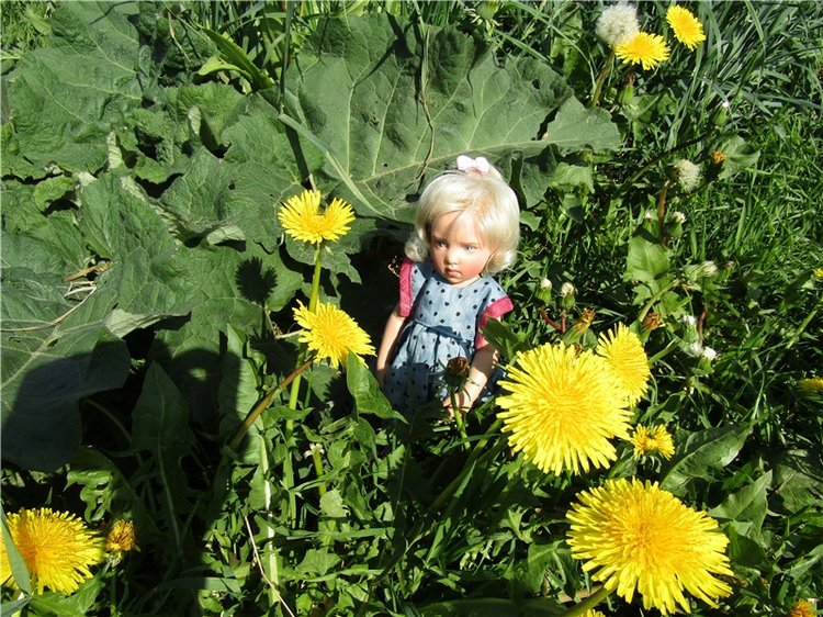 Сине-голубое настроение. Флора Helen Kish среди цветов в парке (фото 4)