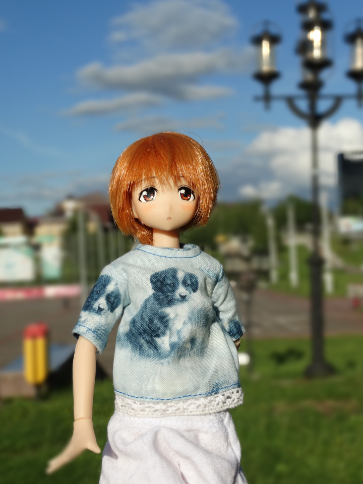 Путешествие с Азоночками Azone doll